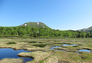ニセコ軽登山（プライベートガイド）イメージ